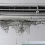 Khay nước ngưng bị bám cặn sinh học