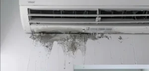 Khay nước ngưng bị bám cặn sinh học