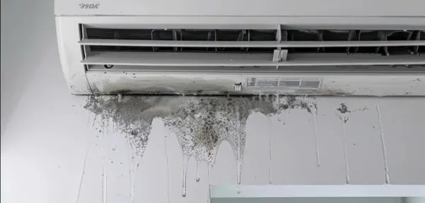 Khay nước ngưng bị bám cặn sinh học