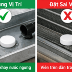 Đặt viên chống ngưng điều hòa đúng vị trí