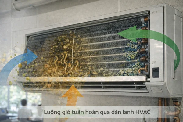 luồng gió tuần hoàn qua dàn lạnh HVAC