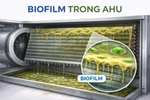 Biofilm trong AHU HVAC