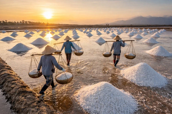Ruộng muối biển sản xuất cho muối công nghiệp