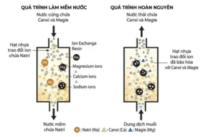 cơ chế trao đổi ion loại bỏ Ca Mg trong hệ softener