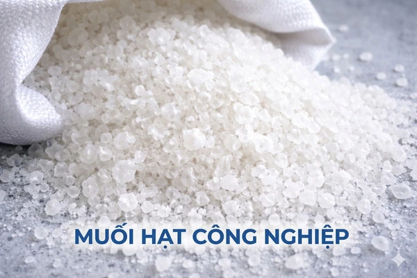 muối hạt công nghiệp dạng thô nhiều tạp chất