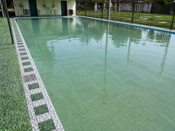 Dấu hiệu nhận biết hồ bơi bị rêu tảo