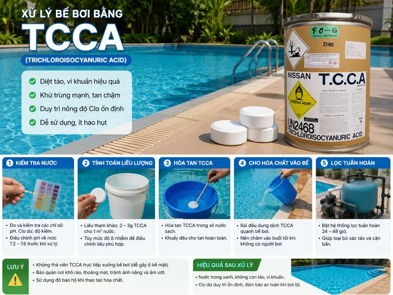 TCCA 90 trong xử lý rêu hồ bơi
